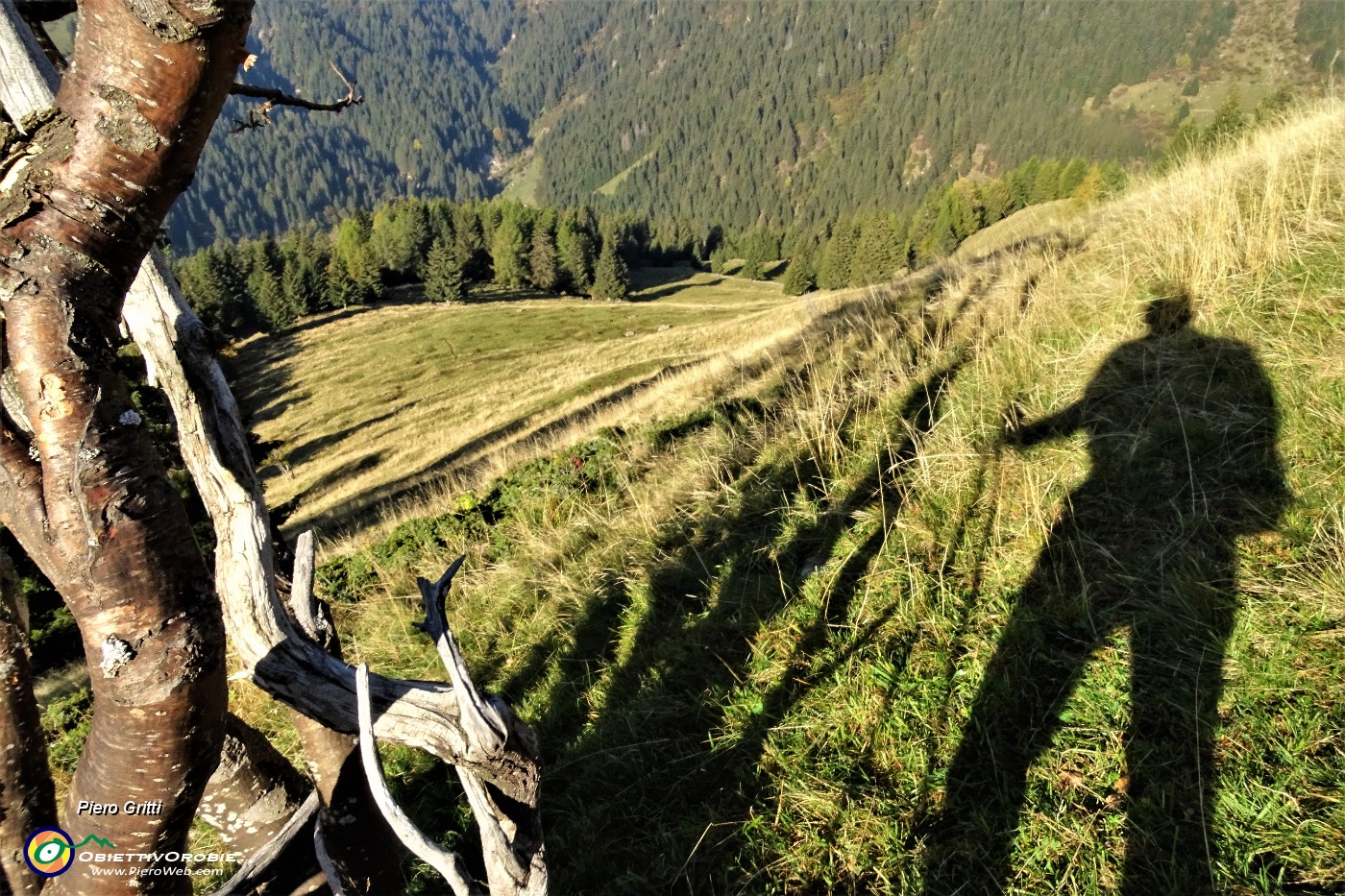 27 Salito su tracce il ripido pratone per il Monte Arete.JPG